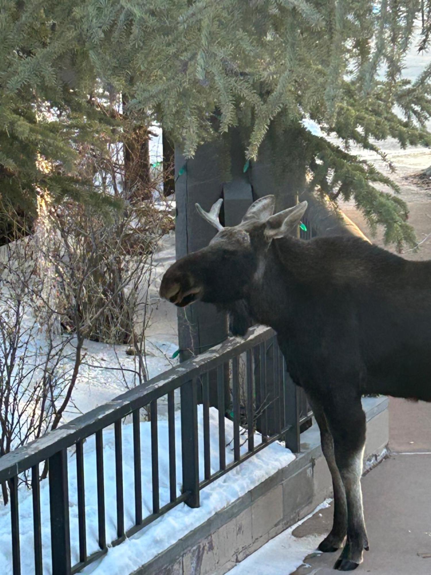 Ironwood 2986 By Summitcove Lodging Keystone Esterno foto